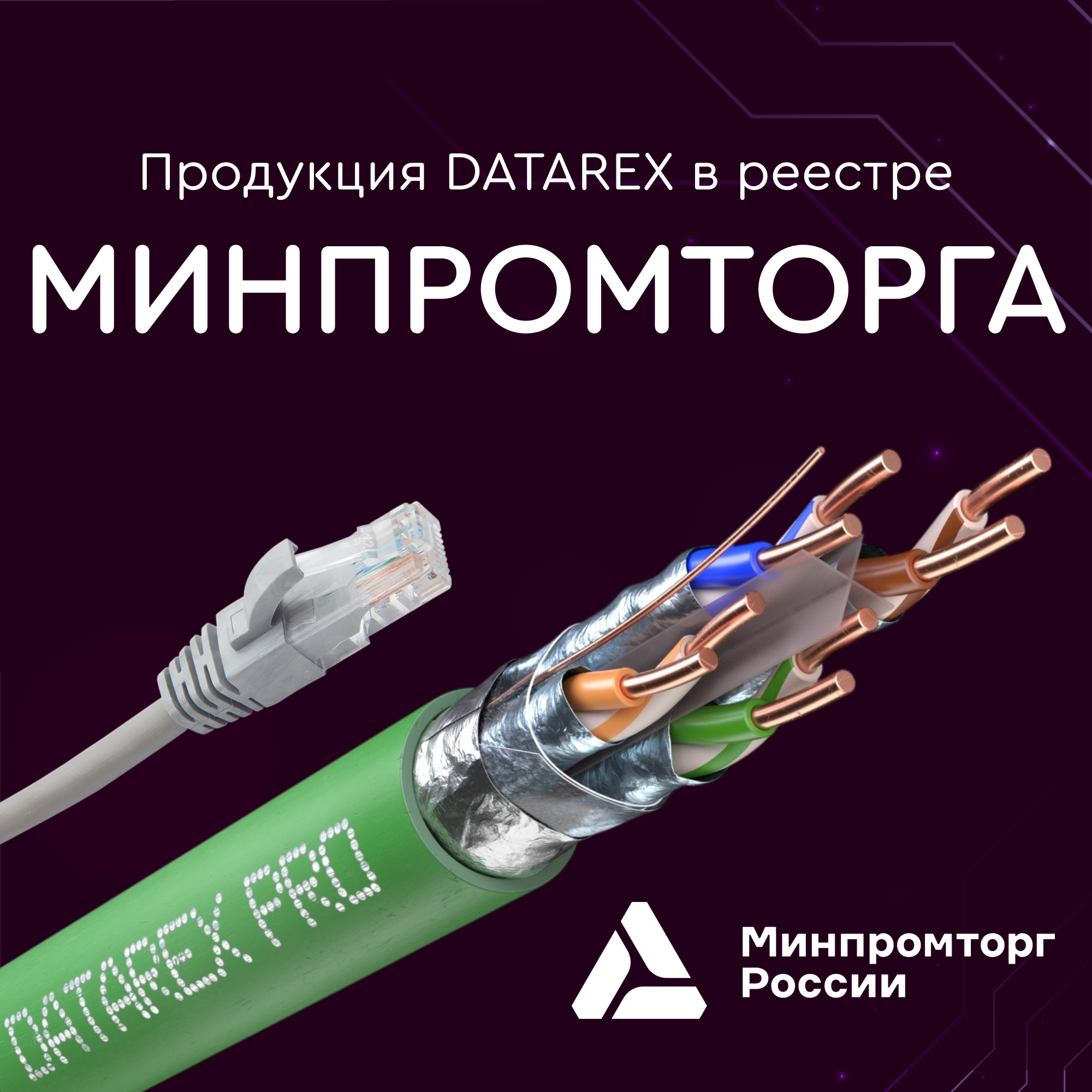 DATAREX в реестре Минпромторга